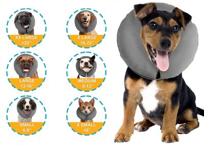 ZenPet ZenCollar Inflatable Recovery Collar for Dogs and Cats