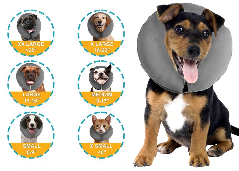 ZenPet ZenCollar Inflatable Recovery Collar for Dogs and Cats