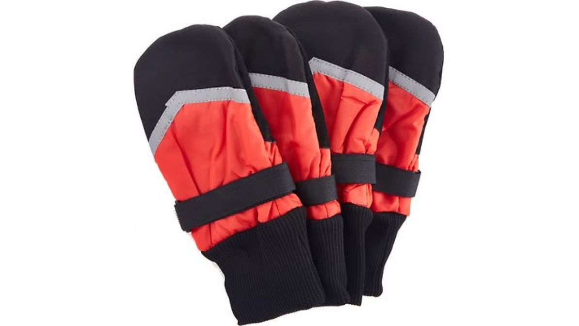 Fashion Pet Extreme All Weather Dog Boots - 4 boots