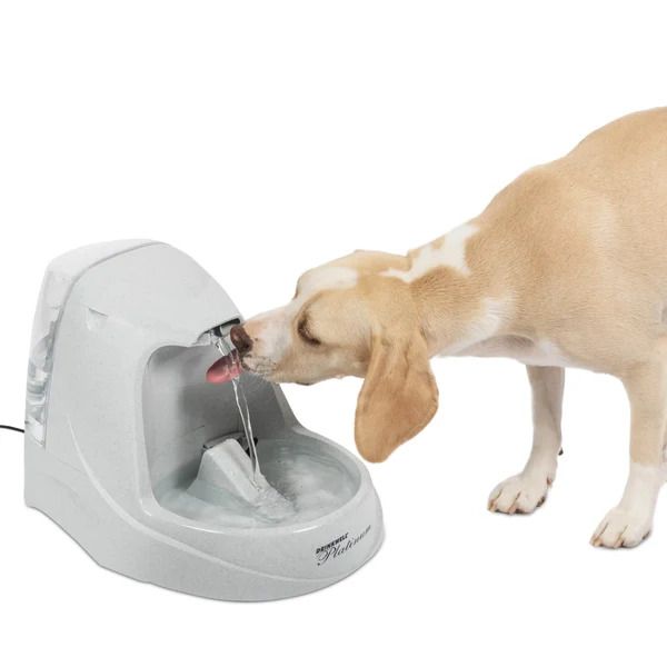 PetSafe Drinkwell Platinum Fountain 168oz Capacity