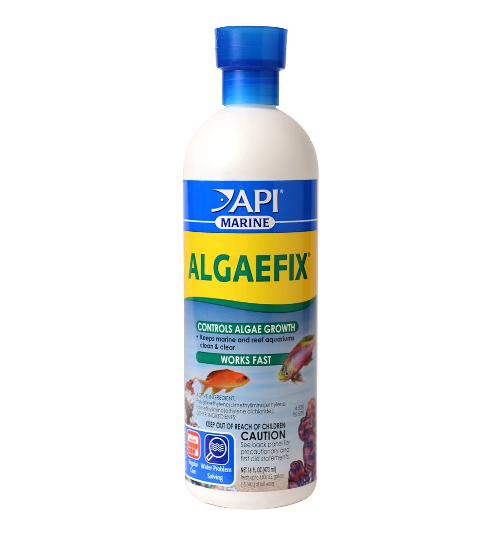 API AlgaeFix Marine Aquarium Algaecide, Size: 16oz