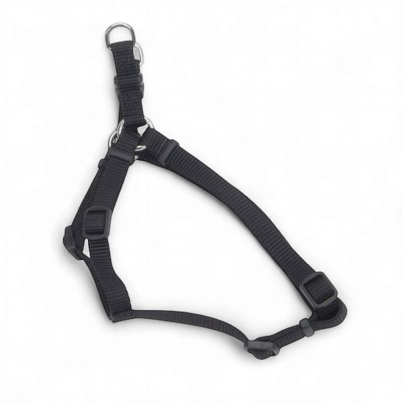 Coastal Comfort Wrap Adjustable Dog Harness