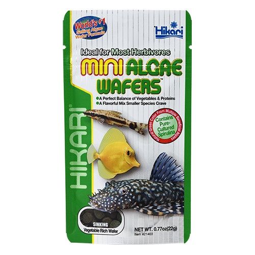 Hikari Mini Algae Wafers, Size: 0.77oz