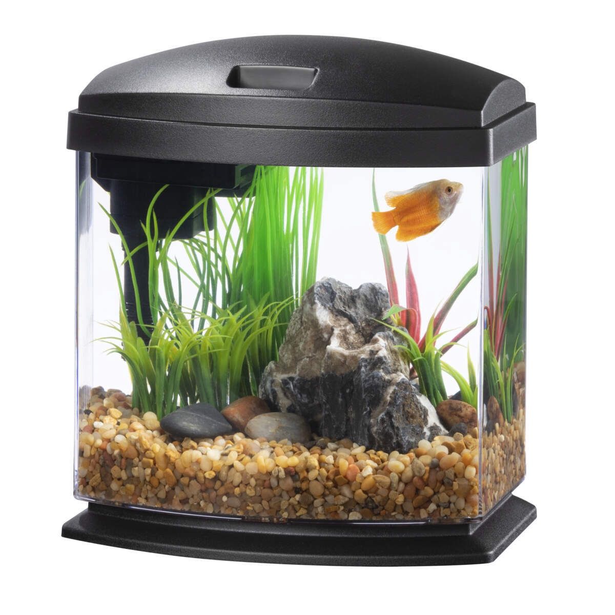 Aqueon LED Mini Bow Aquarium Kit with SmartClean Technology, Size: 1 Gallon