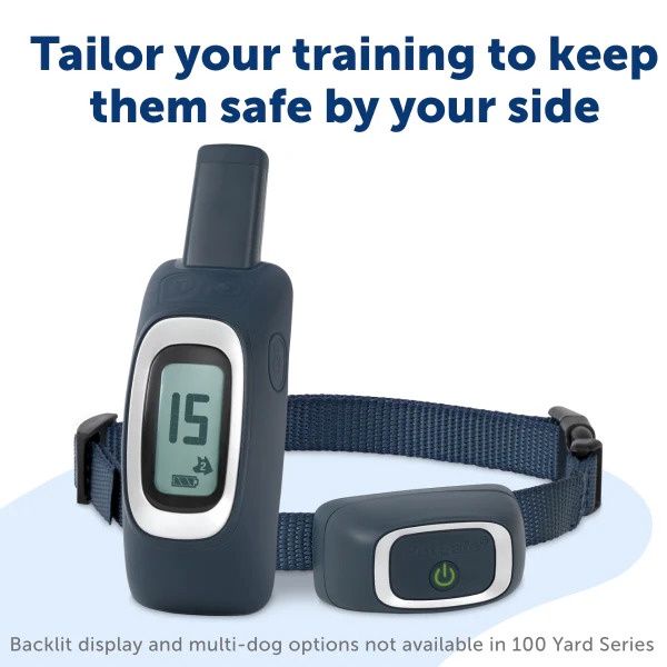 PetSafe Remote Trainer Dog Training System