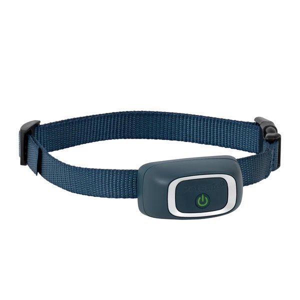 PetSafe Remote Trainer Add-A-Dog Collar, Type: Sensitive Dog (Lite)