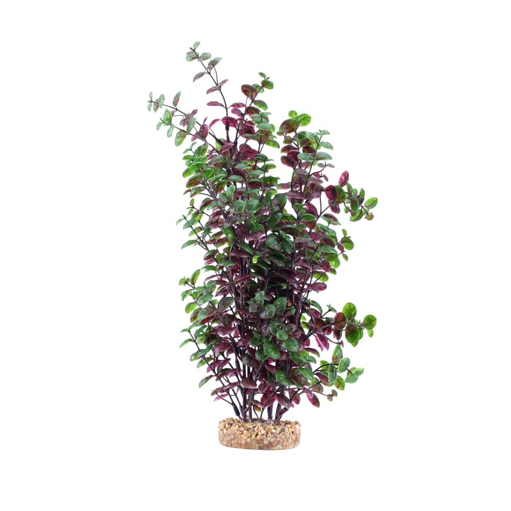 Fluval Aqualife 14-inch Red Bacopa Aquarium Plant