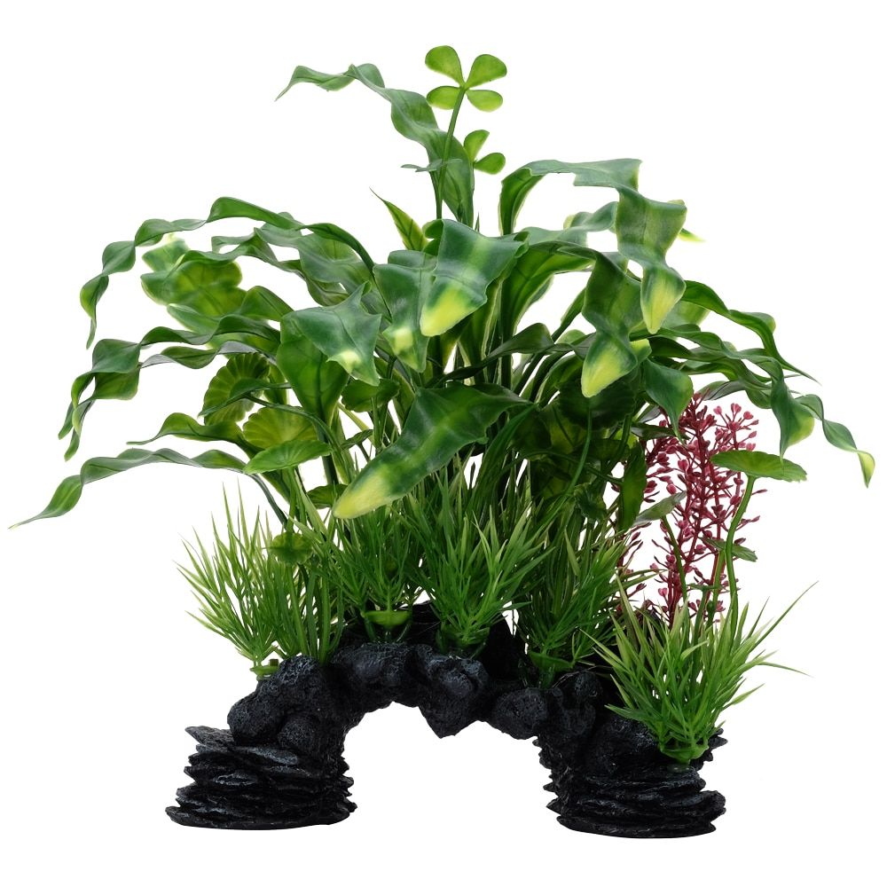 Fluval Aqualife 10-inch Curly Aponogeton Aquarium Plant Mix