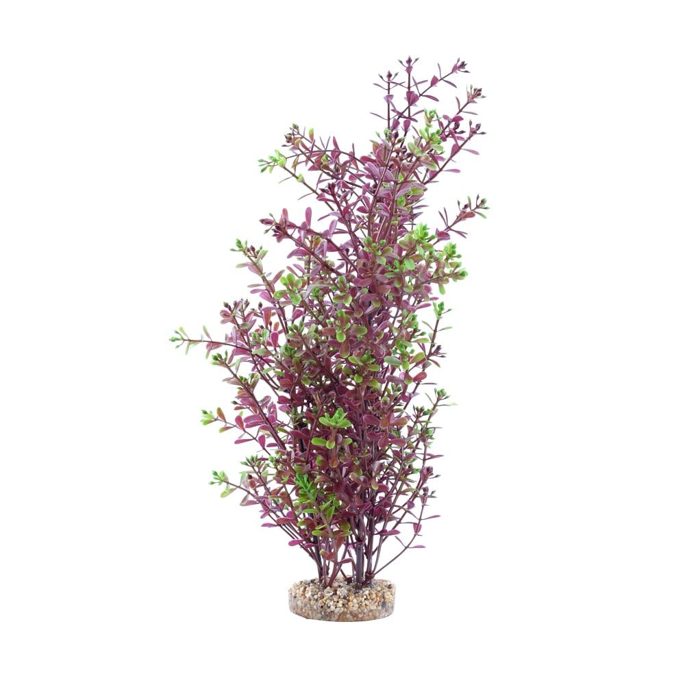 Fluval Aqualife 10-inch Red Rotala Aquarium Plant