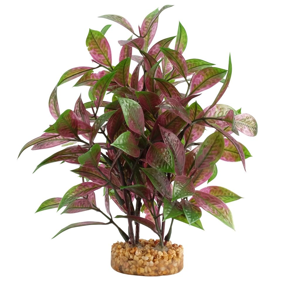 Fluval Aqualife 8-inch Broad Leaf Red Ludwigia Aquarium Plant