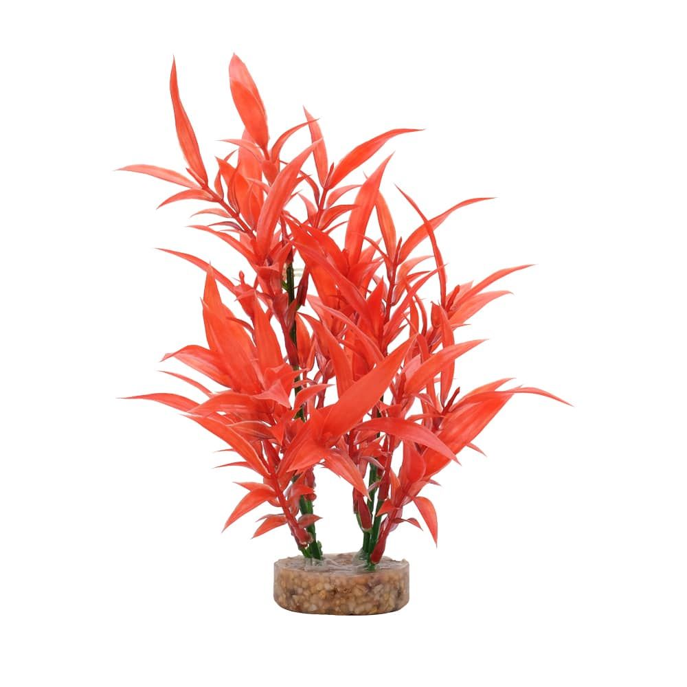Fluval Aqualife 8-inch Intense Red Hygrophila Aquarium Plant