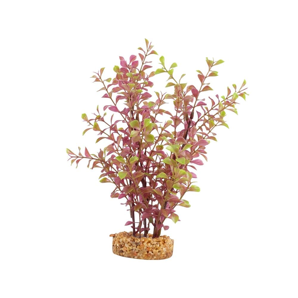 Fluval Aqualife Red Ludwigia Aquarium Plant, Size: 10 inch