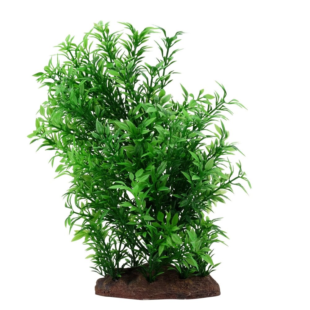Fluval Aqualife 8-inch Small Helzine Aquarium Plant