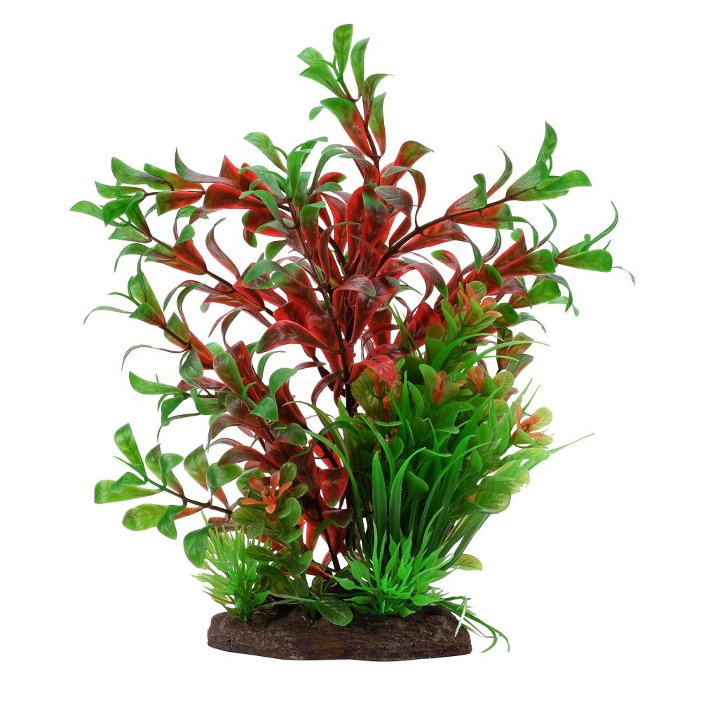 Fluval Aqualife 8-inch Red Ludwigia/Dwarf Sagittarius Aquarium Plant Mix