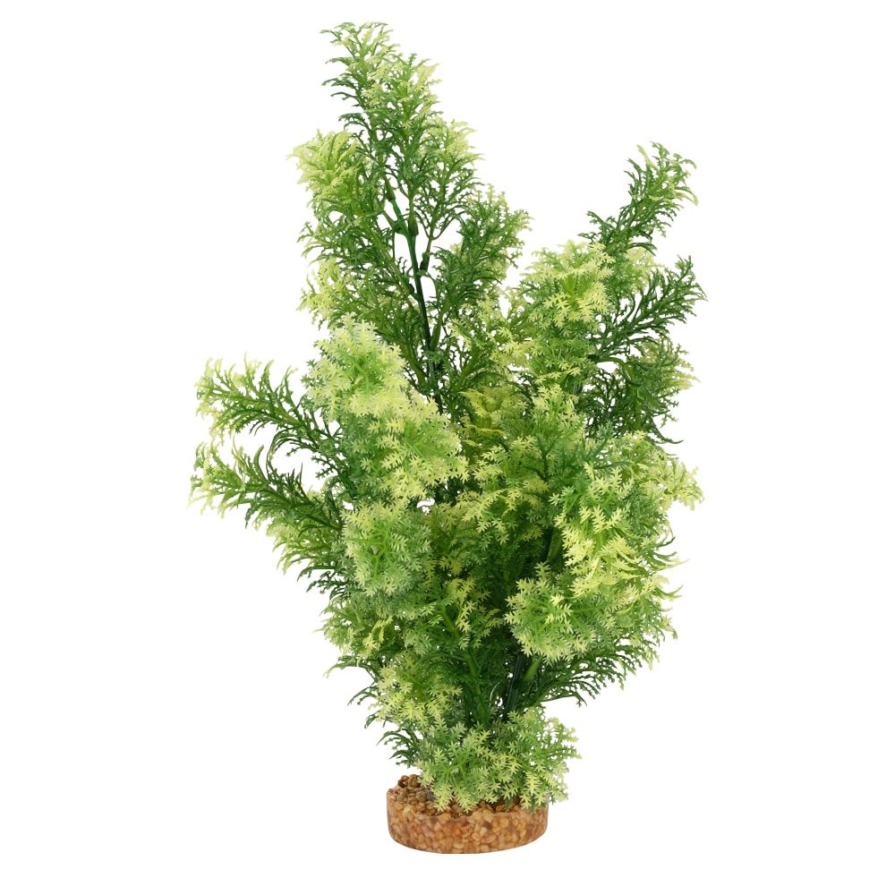 Fluval Aqualife 14-inch White Tip Hottonia Aquarium Plant, Size: 14 inch