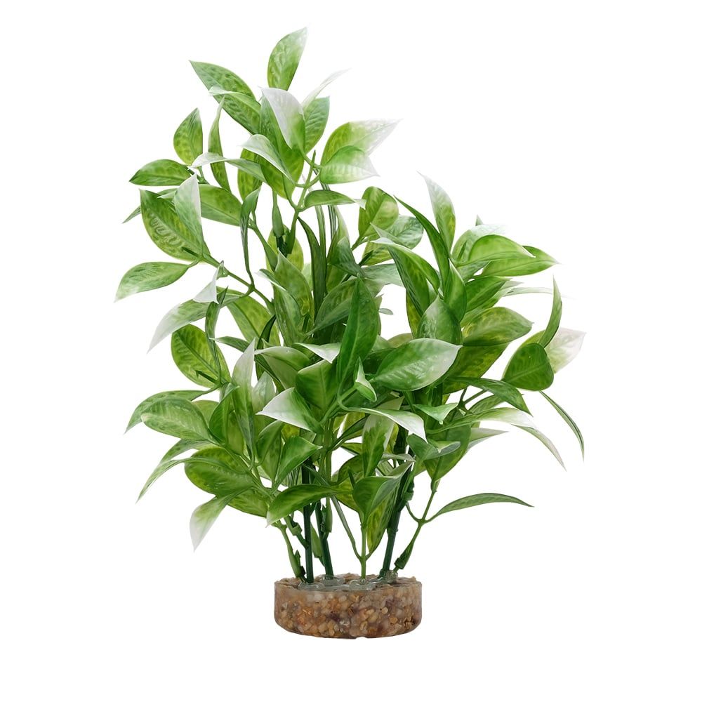 Fluval Aqualife White Tip Ludwigia Aquarium Plant, Size: 8 inch