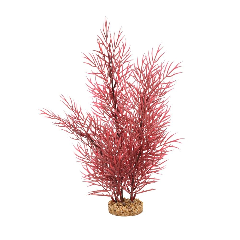 Fluval Aqualife 14-inch Scarlet Eichornea Aquarium Plant