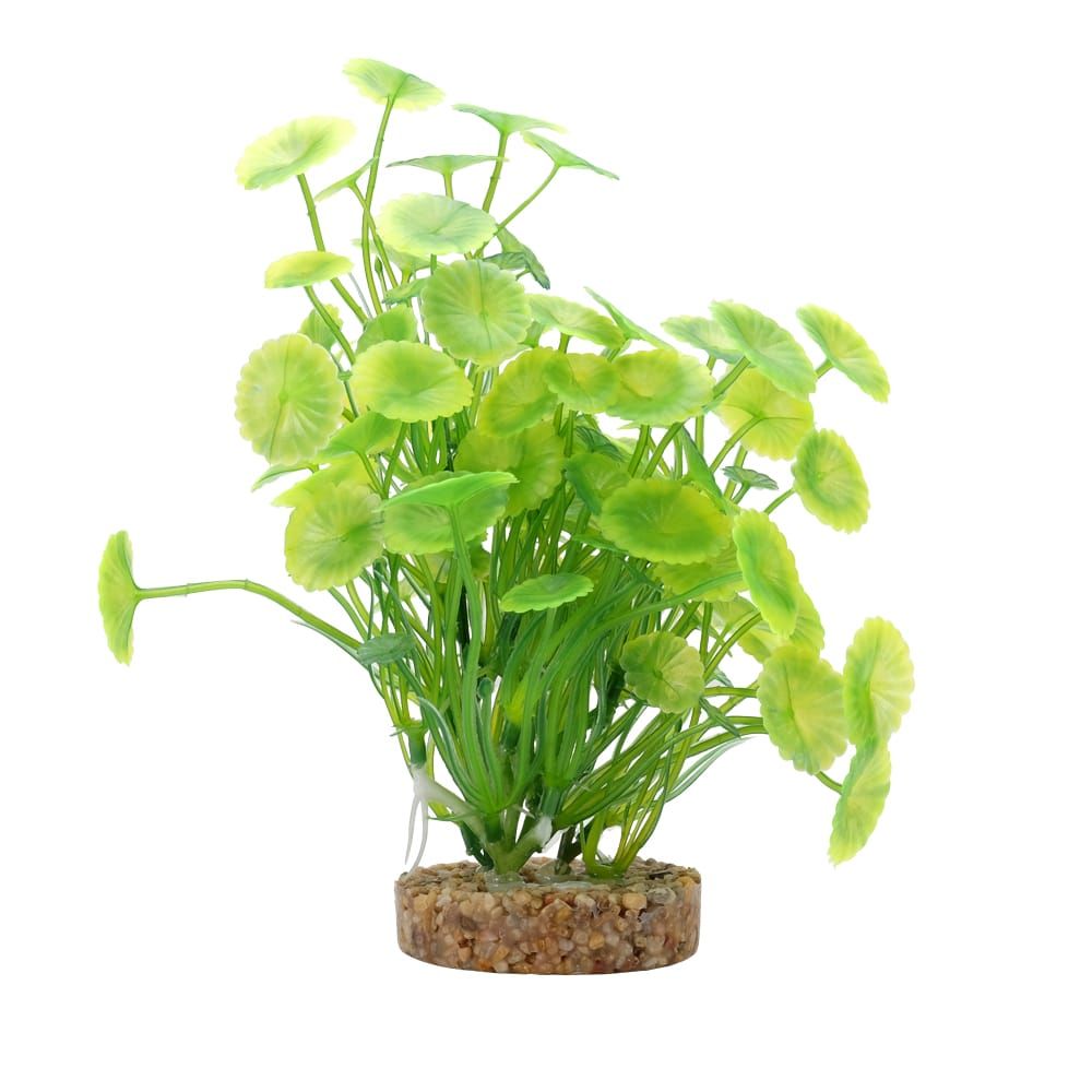 Fluval Aqualife 8 inch Yellow-Green Lysimachia Aquarium Plant