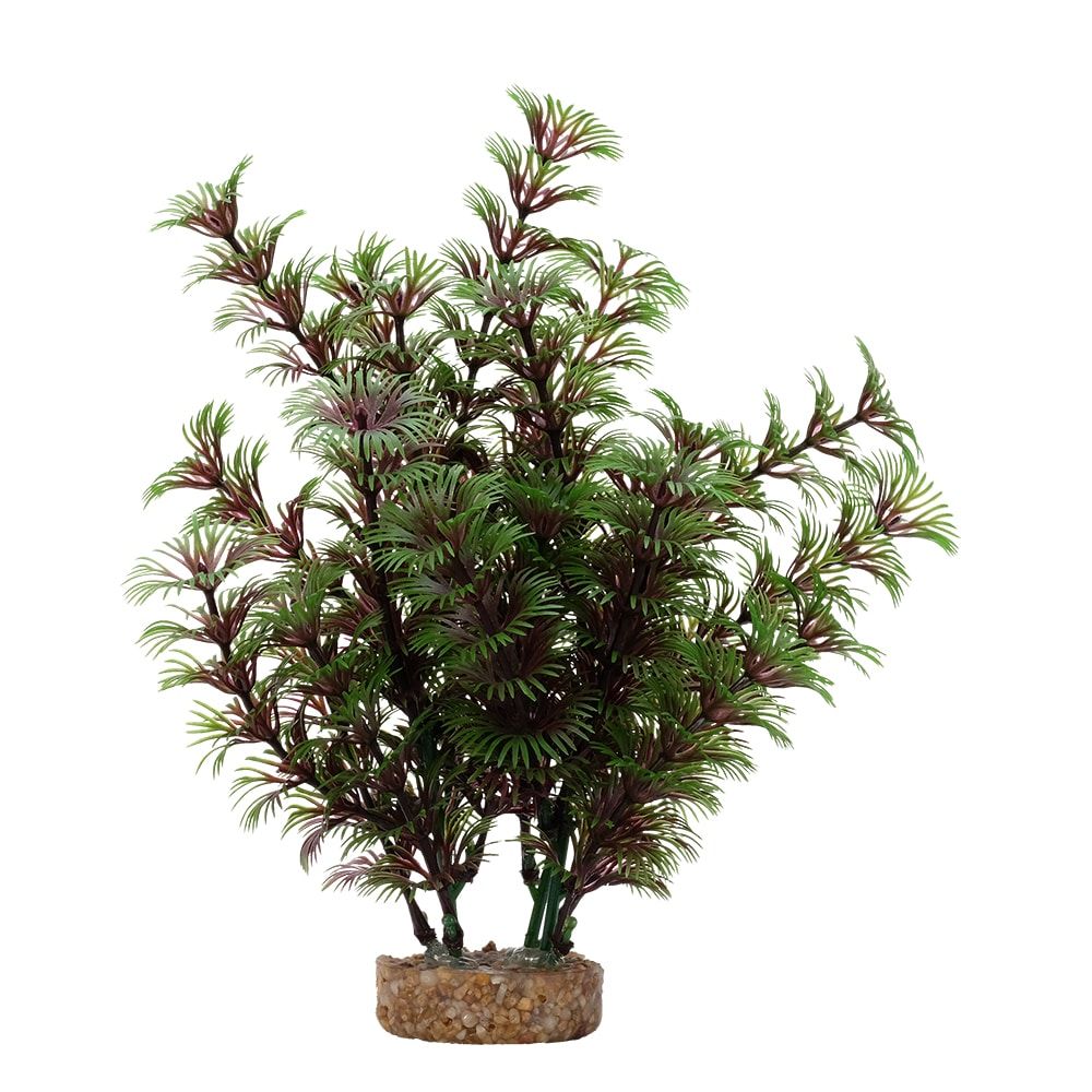 Fluval Aqualife 8-inch Red Green Cabomba Aquarium Plant