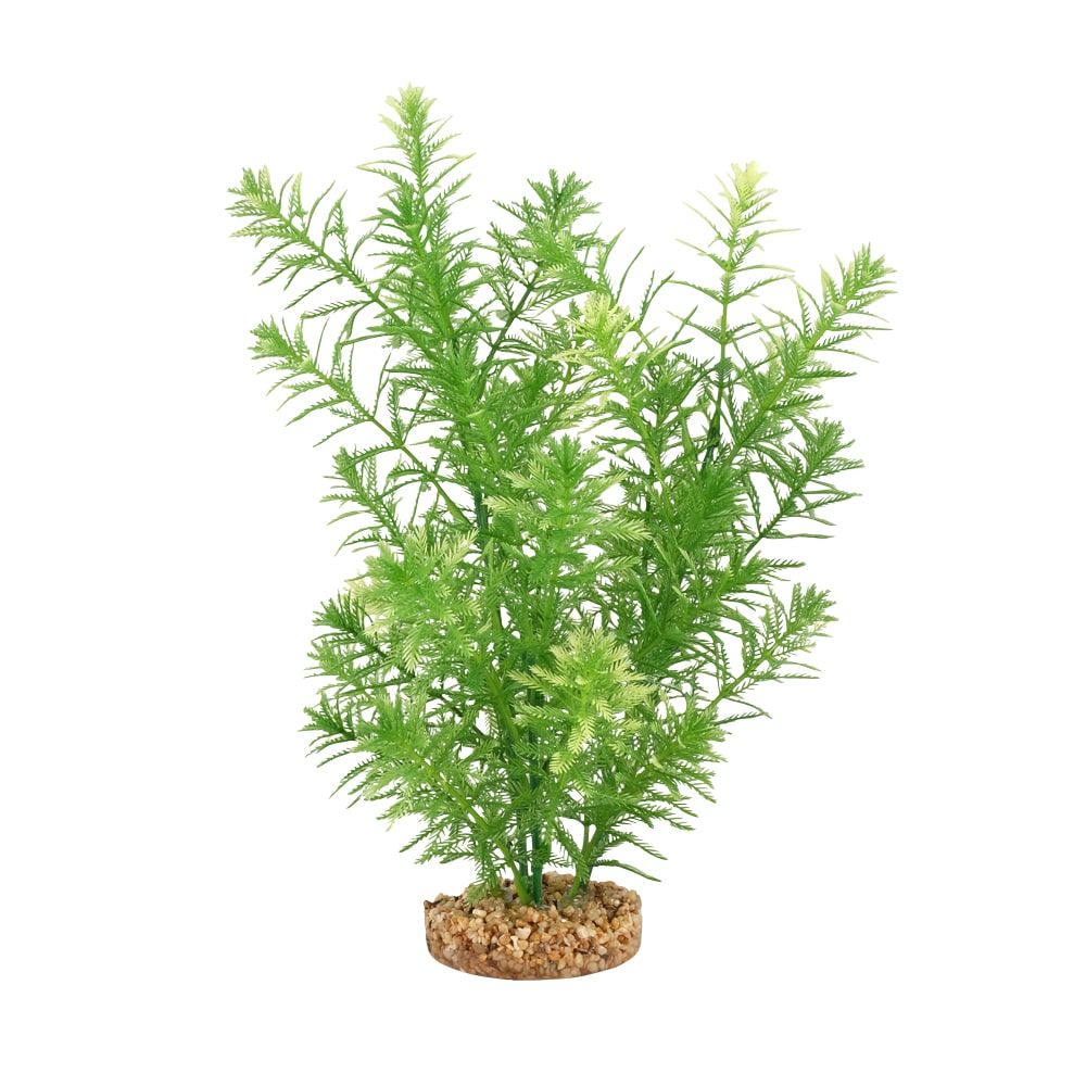 Fluval Aqualife Green Myriophyllum Aquarium Plant, Size: 10 inch