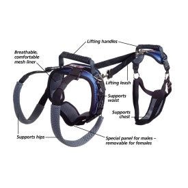 PetSafe Carelift Dog Lift Harness, Size: Small