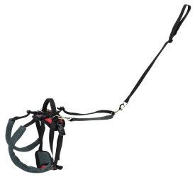 PetSafe Carelift Rear Support Harness, Size: Small