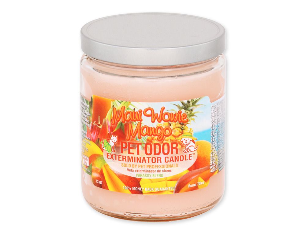 Pet Odor Exterminator - Maui Wowie Mango, Type: Candle 13oz