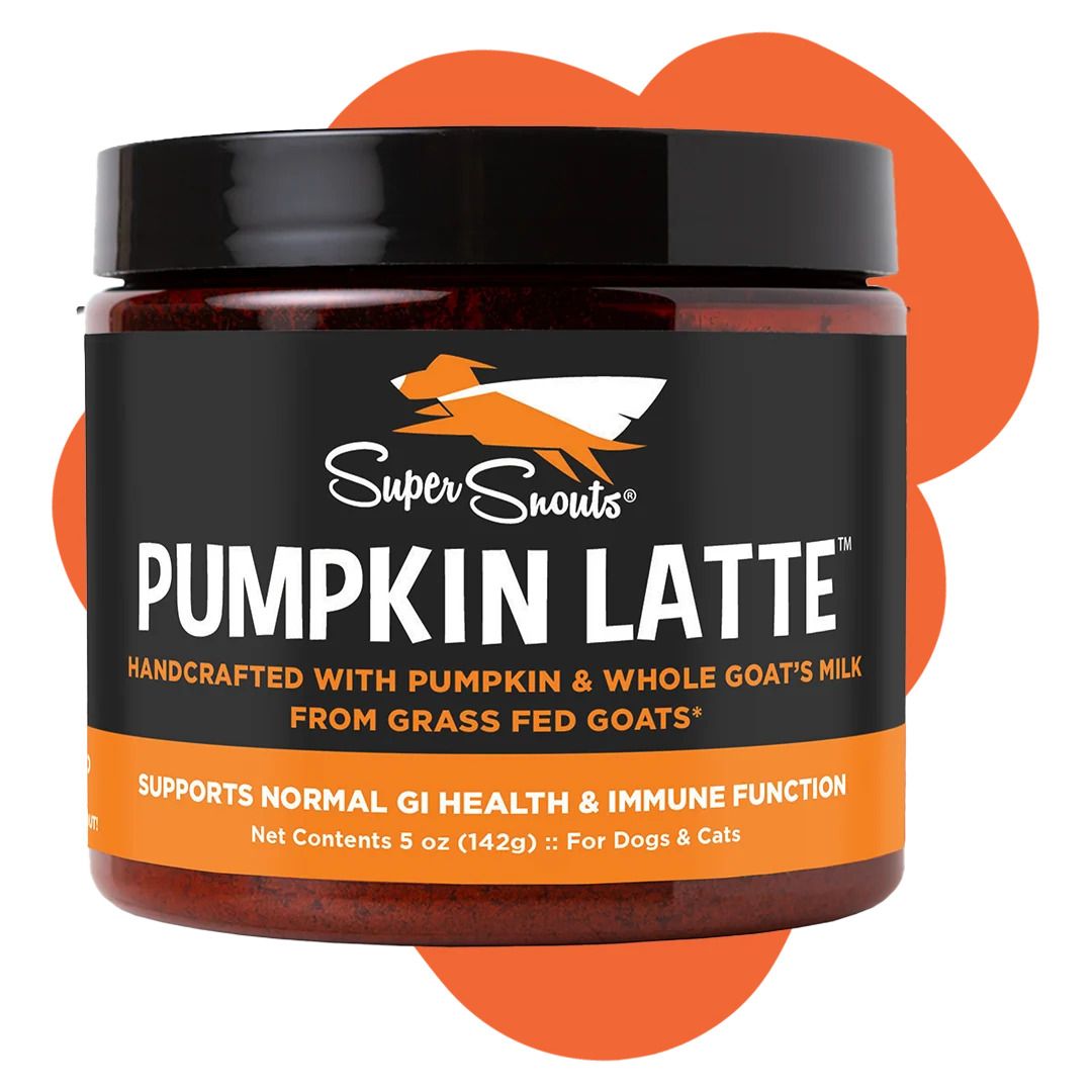 Super Snouts Dog &amp; Cat Pumpkin Latte GI Health &amp; Immune Function Powder, Package Size: 5oz