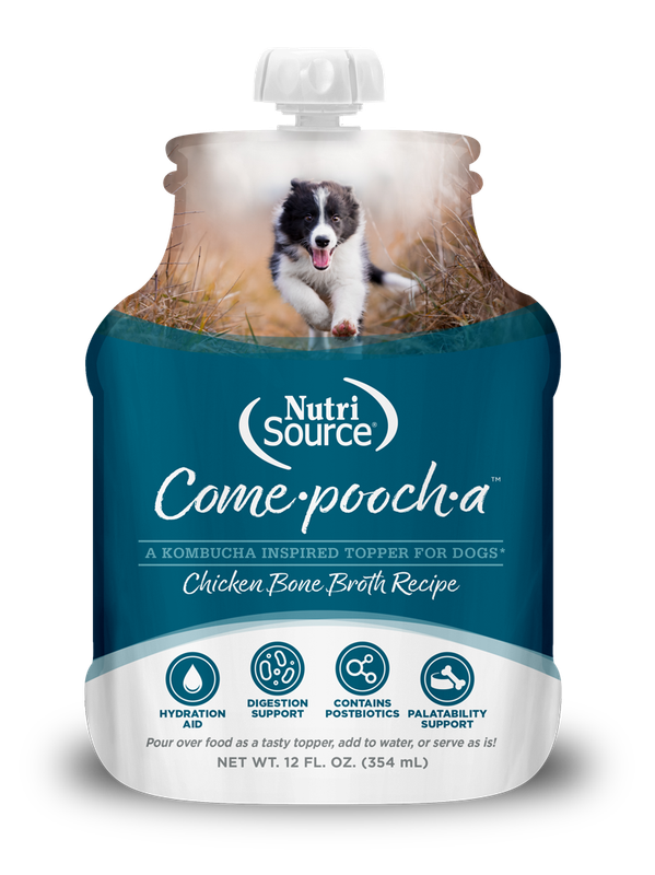 NutriSource Come·pooch·a Bone Broth 12oz. pkg. for Dogs