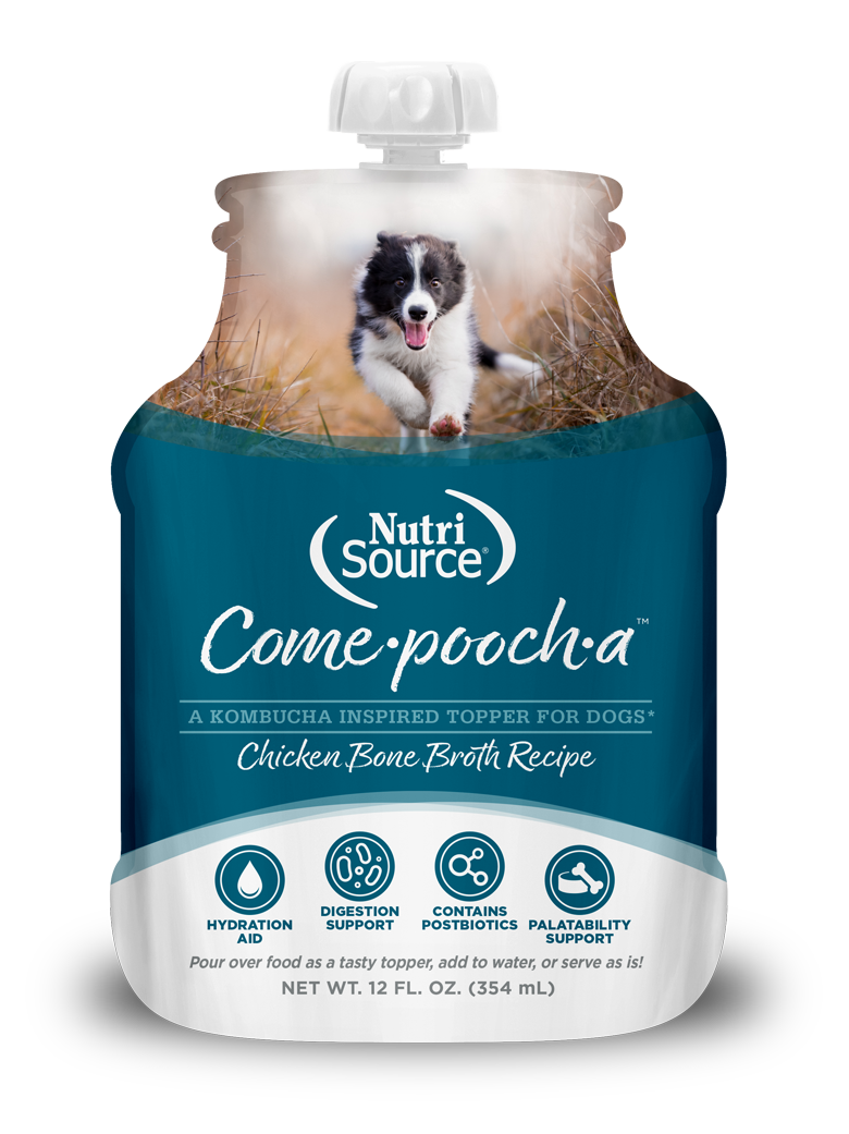 NutriSource Come·pooch·a Bone Broth 12oz. pkg. for Dogs, Recipe: Chicken