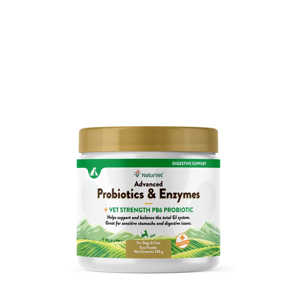 NaturVet Advanced Probiotics &amp; Enzymes for Dogs &amp; Cats, Size: 8oz