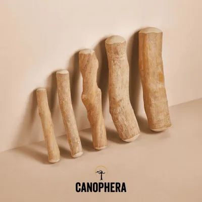 Canophera Chew Stick Coffee Wood Dog Chew