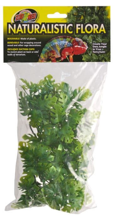 Zoo Med Natural Bush Amazonian Phyllo Terrarium Plant, Size: Small