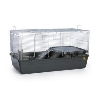 Prevue Pet Products Universal Small Animal Home