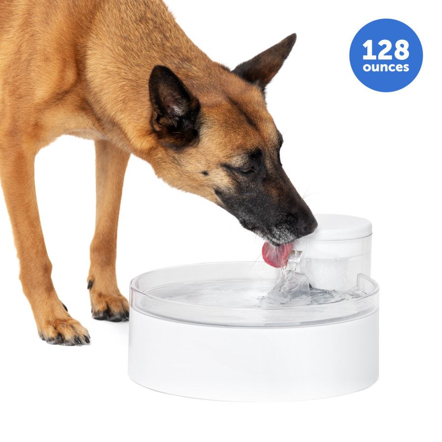 PetSafe Outlast Pumpless Pet Fountain 128oz Capacity