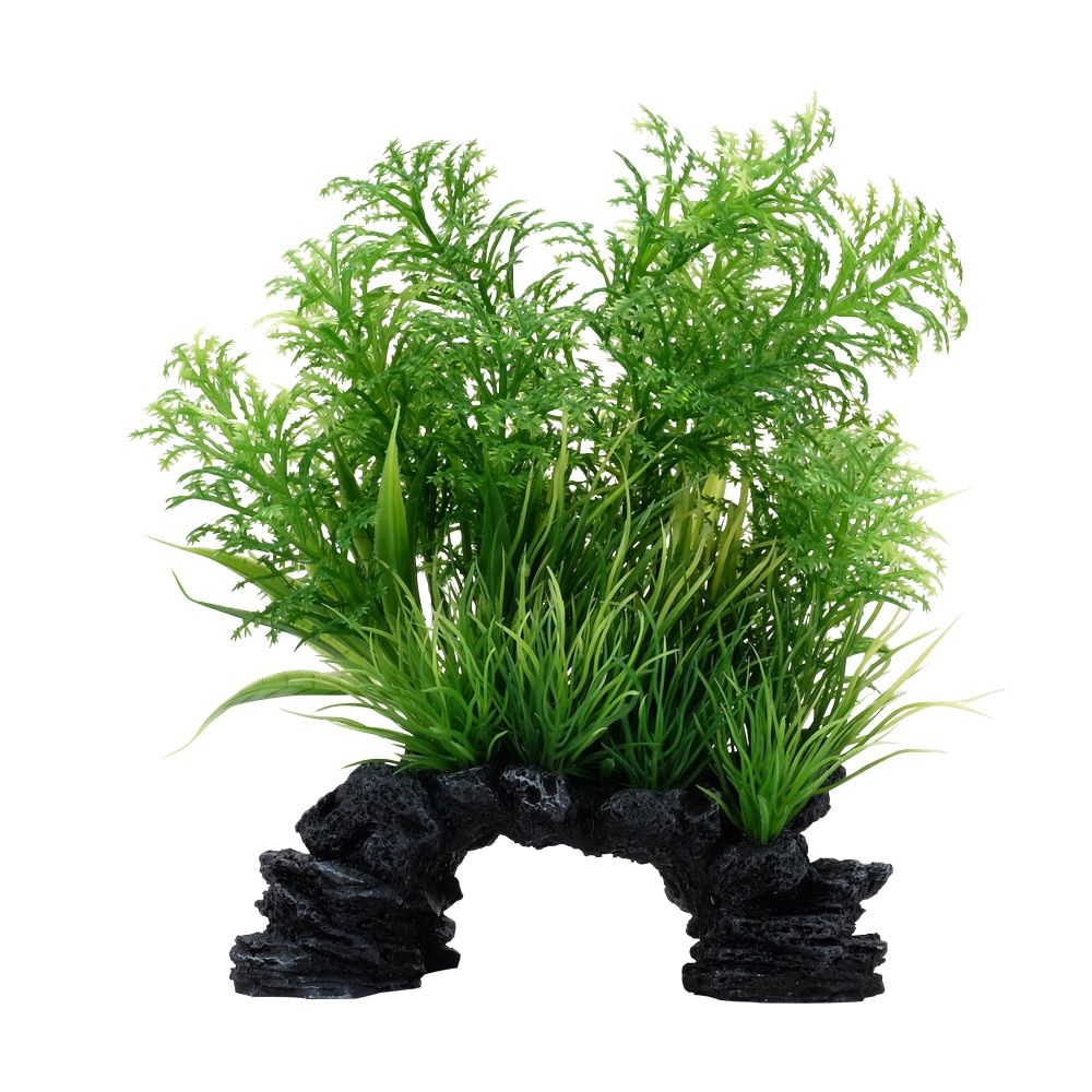 Fluval Aqualife 6-8 inch White-Tipped Hottonia Aquarium Plant Mix