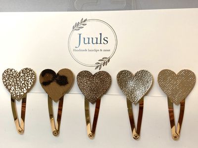 Haarspeldjes 5 stuks klik-klak