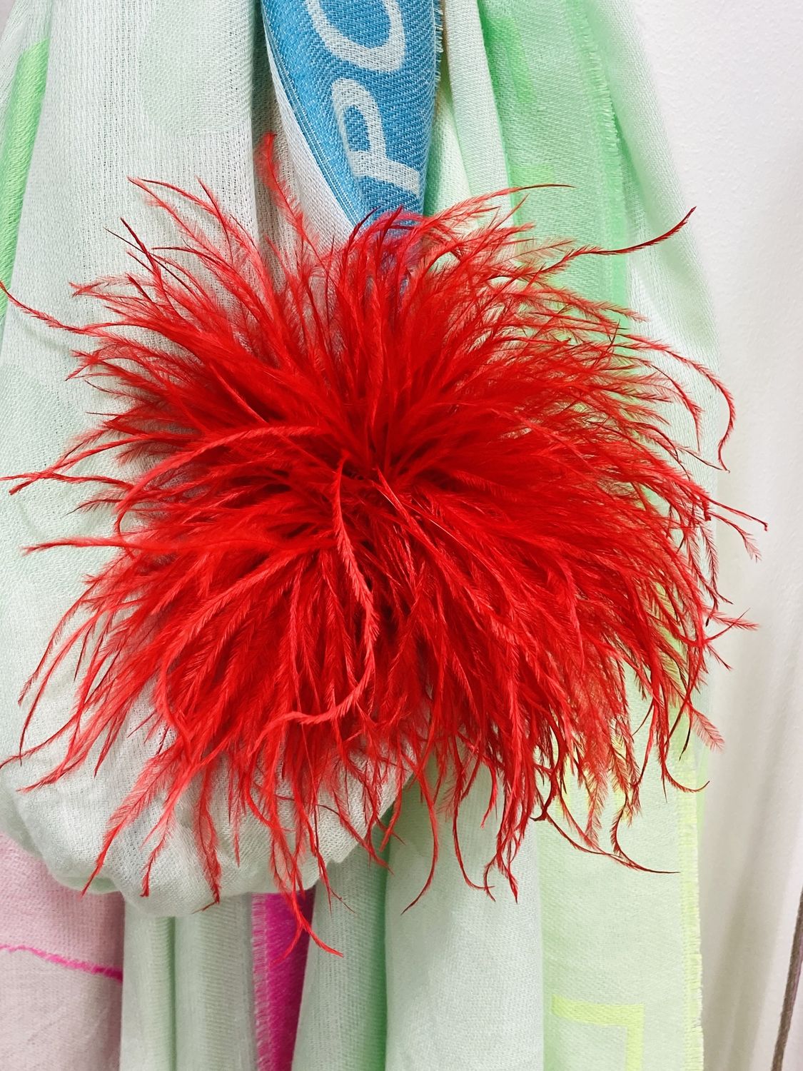 Broche Rode pluim