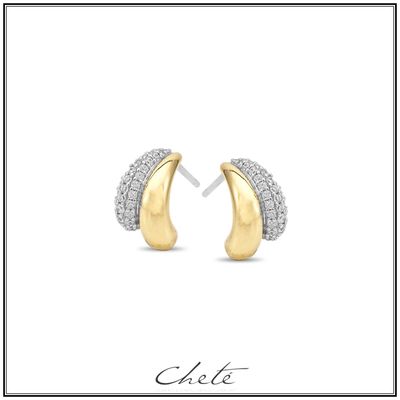 Oorbellen bicolor met zirconium