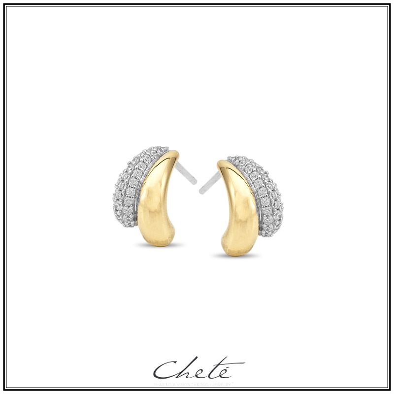 Oorbellen bicolor met zirconium