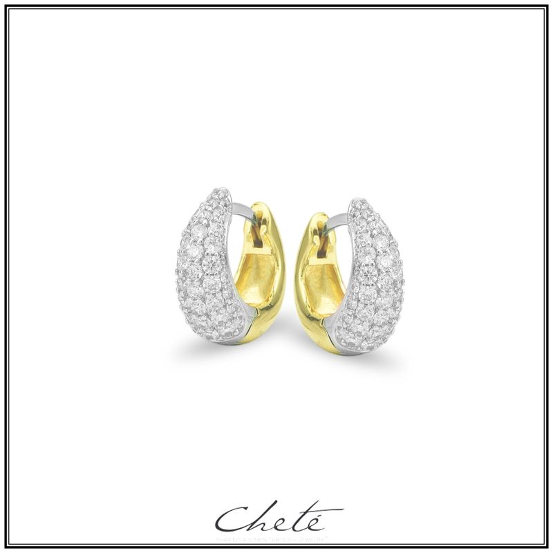 Oorbellen bicolor, afgewerkt met heldere zirconium