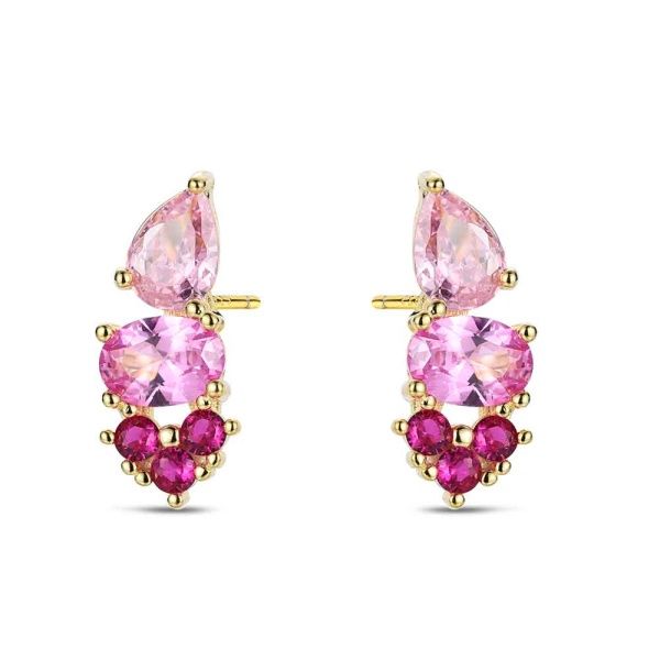 Oorbellen met verschillende roze accenten.