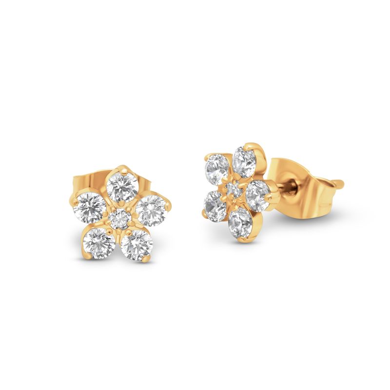 Friends Earring Anika