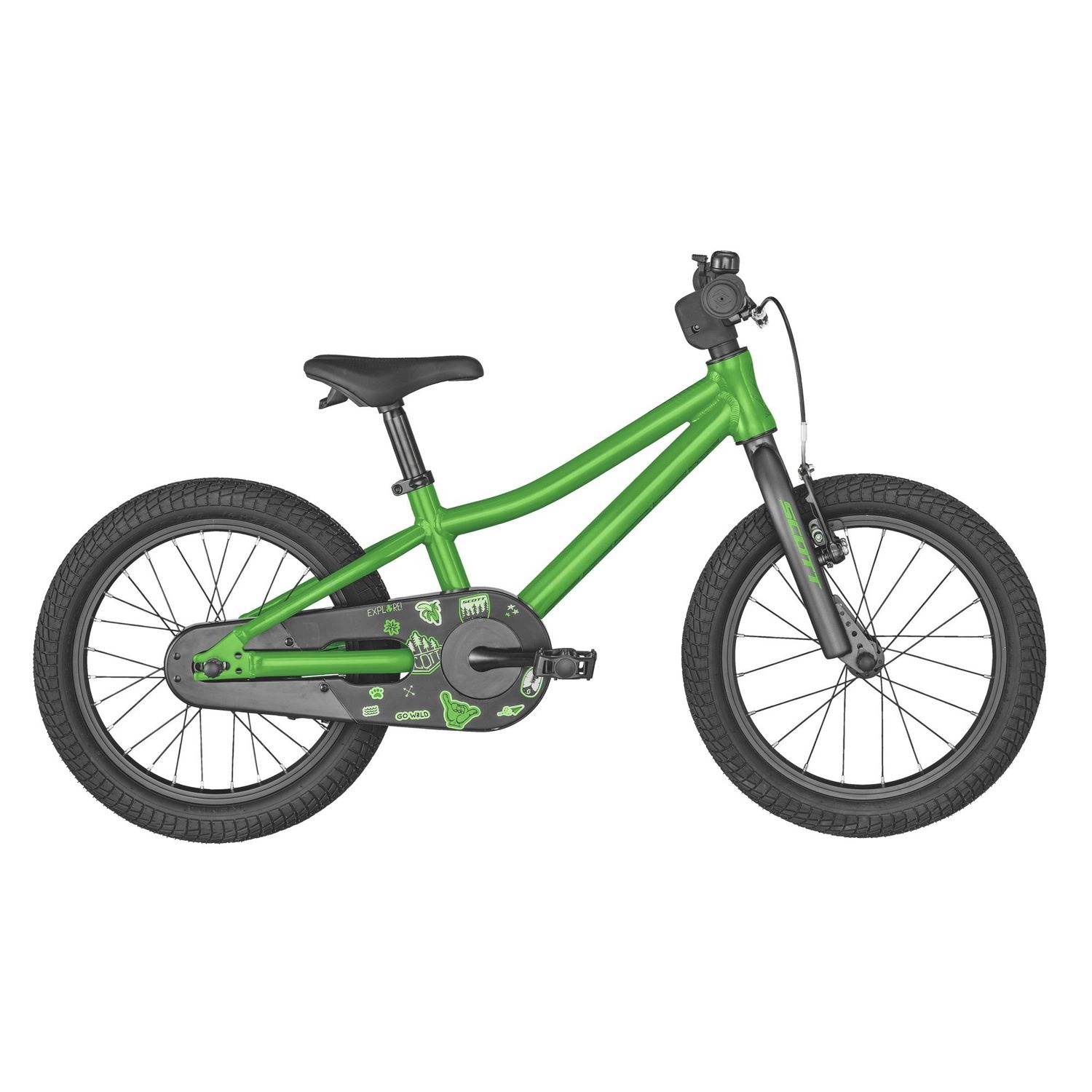 Scott Roxter 16 Green