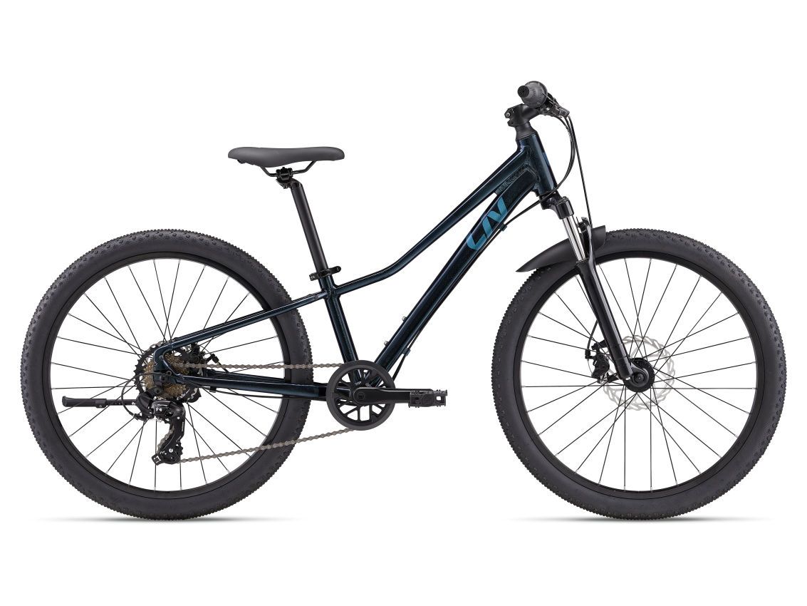 Liv Tempt 24 Disc, Color: Starry Night