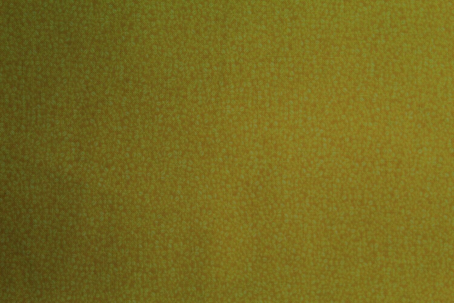 BRIGHTON AMARILLO