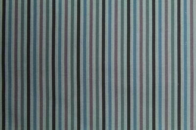 RALLITAS. VÉRONIQUE REQUENA