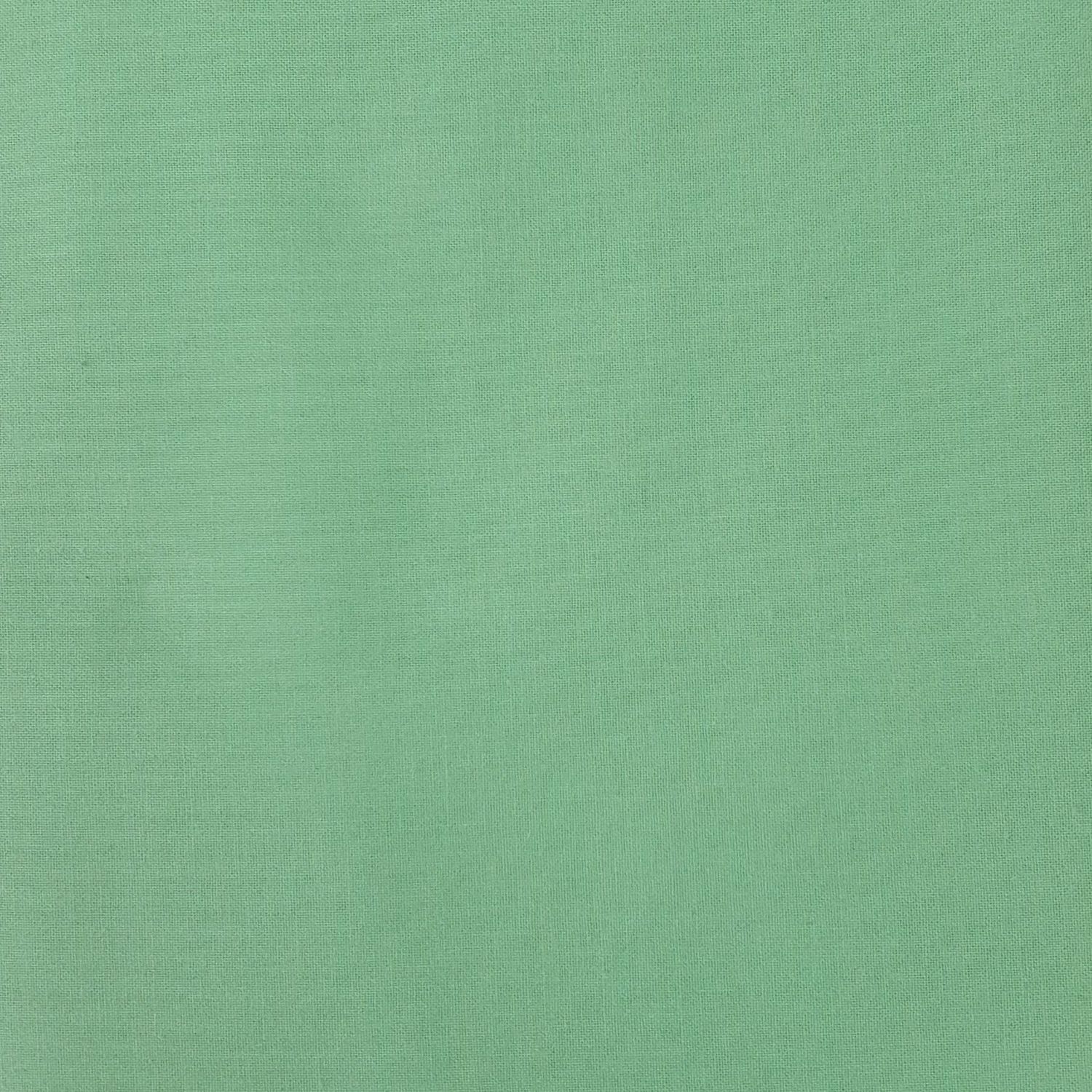 Tela verde claro liso