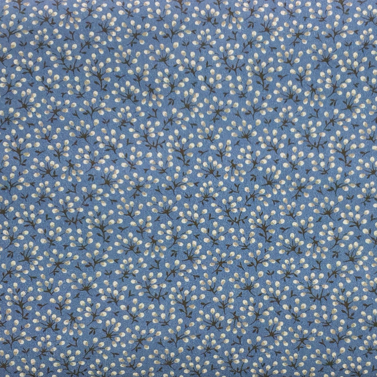 Azul maple house