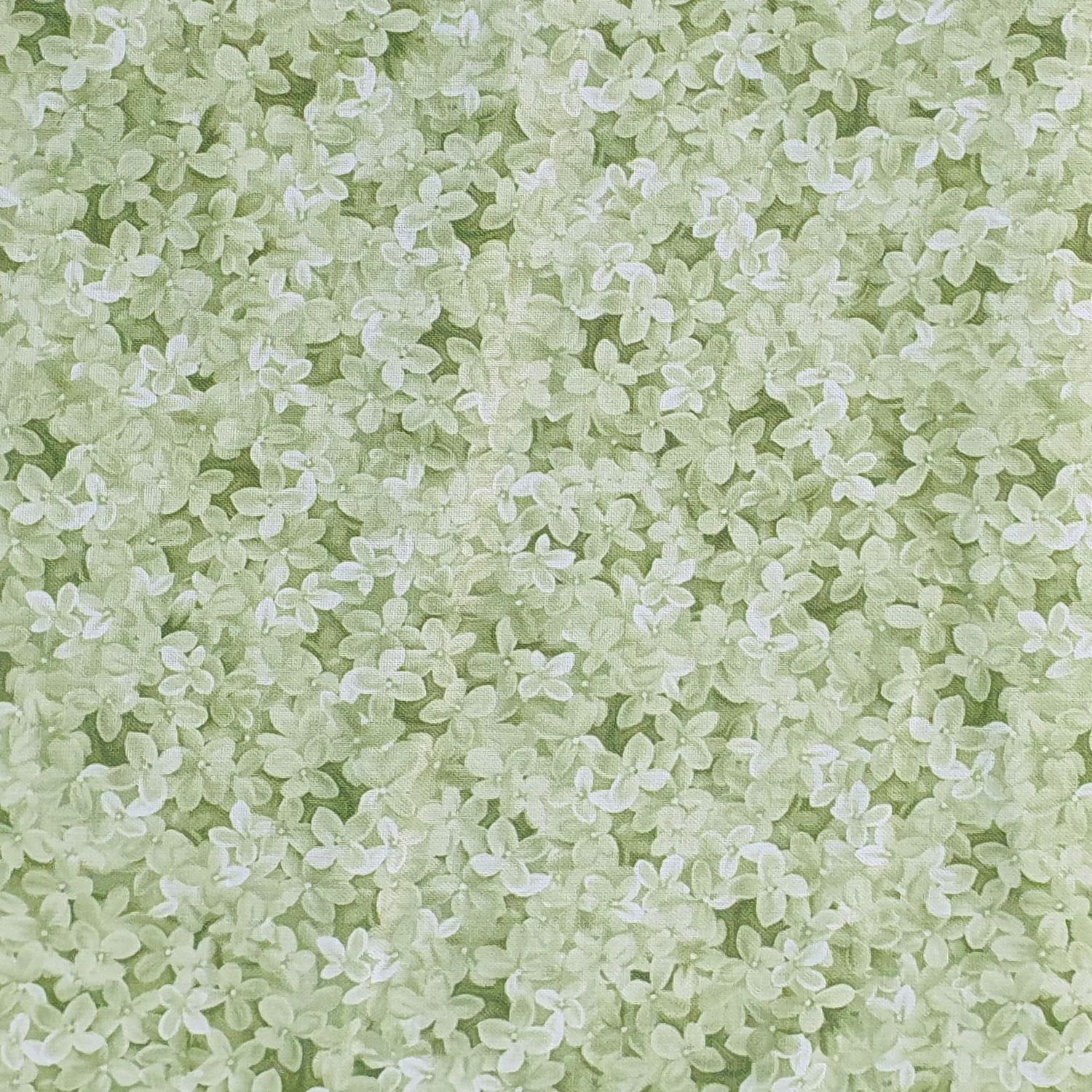 Verde hojas Sweet Blush Rosa